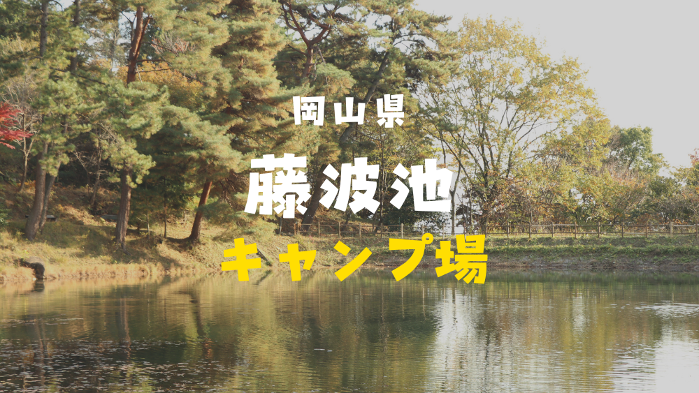 藤波池キャンプ場　岡山県　レポート　口コミ